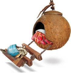 Sungrow Hermit Crab Coco Hut with Ladder, Hamster & Hermit Crab Hideout, Coconut