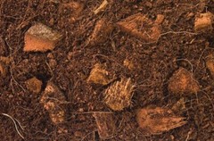 T-Rex Reptile Terrarium Substrate – Jungle Bed 8qt bag
