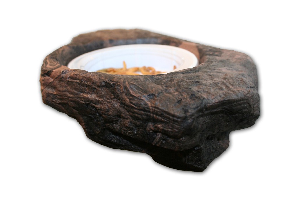 MagNatural Small Worm Feeder Ledge Earth – Pet-Tekk