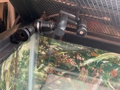 20 gallon terrarium with accessories