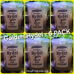 Fruit Fly Culture Golden Hydei Melongaster 6 Pack Reptile & Dart Frog Food LIVE
