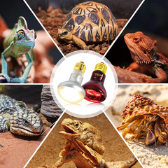 75W Reptile Heat Lamp Bulb, 2PCS Day & Night Basking Spot Light Combo Pack Inclu