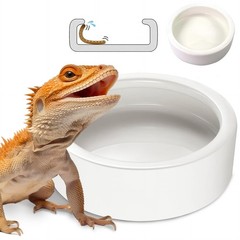 Ceramic Reptile Bowl – Mealworms & Cricket Dish for Gecko, XLarge, White