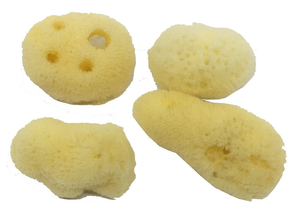 Hermit Crab Sea Sponges 4 Pack – Maintains Humidity, Safe Drinking, Adds Mine…