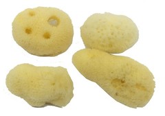 Hermit Crab Sea Sponges 4 Pack – Maintains Humidity, Safe Drinking, Adds Mine…