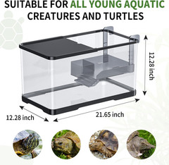 (Tank + Light + Filter + Filter Balls) Turtle Tank Kit, Turtle Tank Starter Kit,