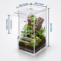 【PreAssembled】 Jumping Spider Enclosure3″×3″×6″ Front Above Opening Praying M…