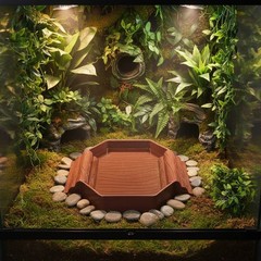 Turtle Bath Stand Non-Slip Ramp Basking Stand Bowl Long-Lasting for Terrarium