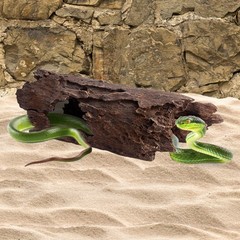 Orchid Valley Reptile Hide, Fish Tank Accessories. Medium 10″ Hollow Log for …