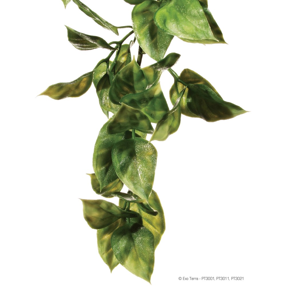 Exo Terra Plastic Amapallo Plant