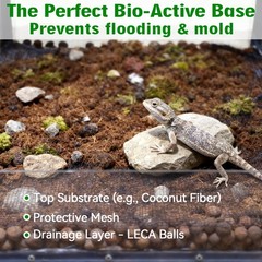 Halatool Leca Clay Balls | Organic Drainage for Reptiles & Plants | 2QT