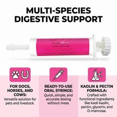 Next Generation Pink Stuff Paste Dosing Tube for Pets, 80ml