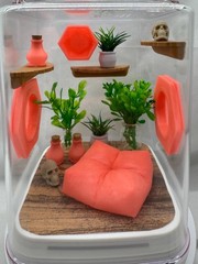 Coral Cove Glow Jumping Spider Enclosure – Stylish Pet House for Your Arachnid