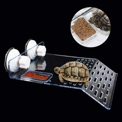Turtle Habitat Platform 9.45 Inch Clear Acrylic Basking Space for Active Turtles