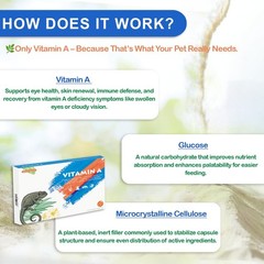 NUTRIARISE Reptile Vitamin A Supplement – Eye Health Support for Lizards,…