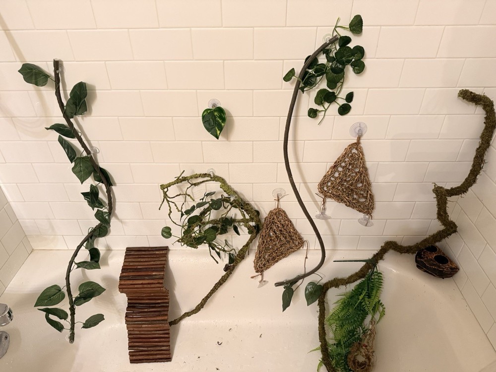 Reptile Habitat Accessories Bundle for Terrarium