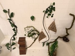 Reptile Habitat Accessories Bundle for Terrarium