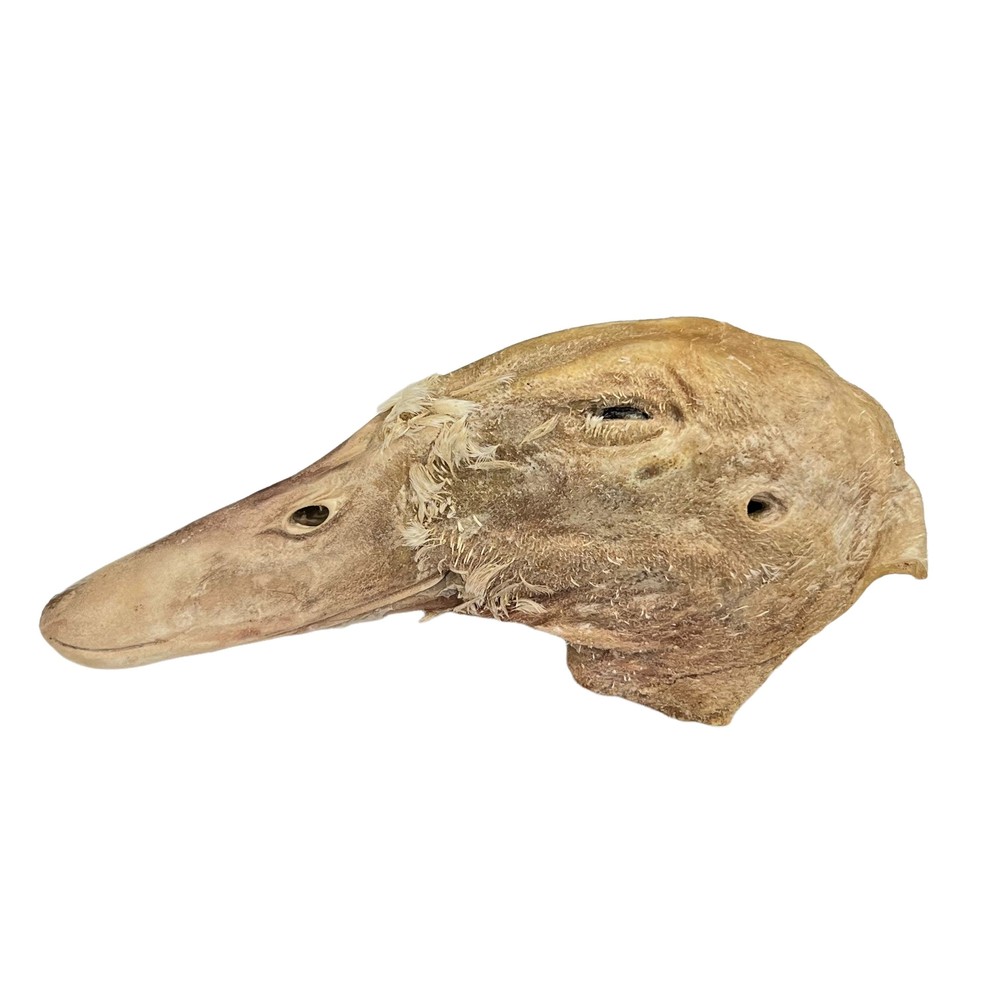 Freeze Dried Duck Heads for Hermit Crabs – Protein, Fat – Hermit Crab Food Enric