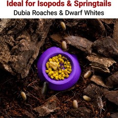 Small Invertebrate Feeding Dish – Cockroach Bowl, Ideal for Tiny Insect Pets