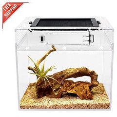 Elegant 8x8x8 Mini Reptile Terrarium – Explosion-Proof & Crystal Clear View