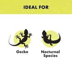 Zilla Night Black Incandescent Bulb 150 Watts For Reptiles Ambient Heat Light