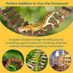 SunGrow Gecko Wooden Ladder Bridge, 14 x 3 inches, Exercise Gym, Brown