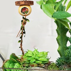 Jumping Spider Climbing Praying Mantis Climbing Toy Reptile Cage