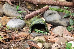 Reptile Cave Climb Hideout Hideaway – Stone Cave Shelter Hiding Decorative Resin