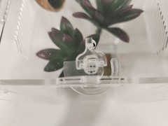 Zilla Micro Habitat Terrarium, Arboreal, with Locking Latch