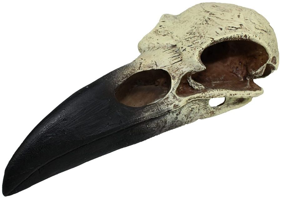 Reptile, Komodo Raven Skull Terrarium Decoration (Large – 1 count)
