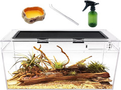 Reptile PC Terrarium Set – 6.6 Gallon Polycarbonate Reptile Tank 20x10x8