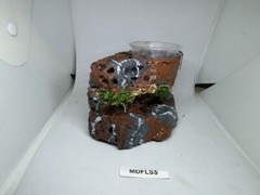 Reptile Magnetic Ledge With 5 Feeder Cups Small Desert