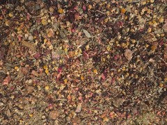 Dried Flowers – Organic Mix Grass and Flowers, Reptile Food, Isopod Food