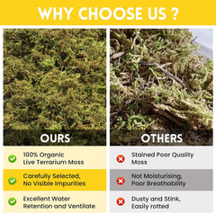 Riare 2.6LB Premium Sphagnum Moss for Reptiles- 100QT Natural Live Moss Reptile