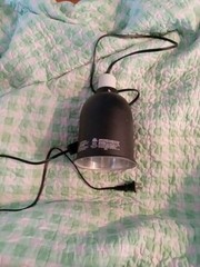 Reptile Light Fixture 5.5″ Dome Lamp Cap with Reflective Cover With New Bulb