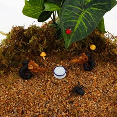 6 Pcs White Spider Micro Water Bowls Mini Ceramic Dish Set