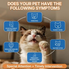 WEALLIN L-lysine Supplement for Cats, Immune Support 1PC, Brown