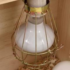 Reptile Heat Lamp Guard Bird Turtle Cage Pets Amphibians Supplies Convenient