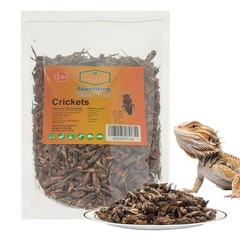 Appetizing Mealworms Natural Dried Crickets – Food for Bearded Dragons, Wild …