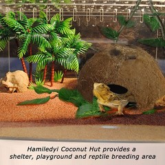 4 PCS Reptile Hideouts Coconut Shells Hut Hermit Crab Climbing Toys Gecko Cave