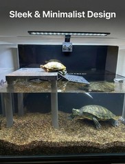 11 Inch SolidForm Turtle Basking Platform With Ramp Tray 2575 Gal Tank