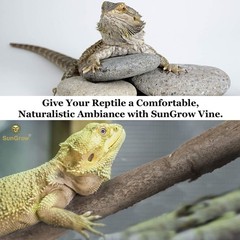 SunGrow 6 ft Reptile Vine for Terrarium, Flexible Climber Lizard Tank Decor,