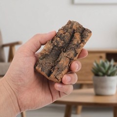 6pcs Natural Cork Bark Reptile Substrate Terrarium Background – Wood Lizard