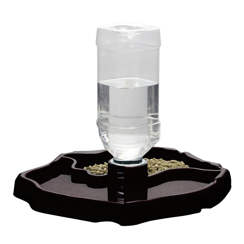2-in-1 Reptile Water Bowl Food Dish with Bottle Automatic Reptile Feeder for …