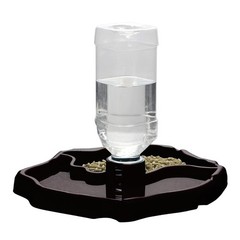 2-in-1 Reptile Water Bowl Food Dish with Bottle Automatic Reptile Feeder for …