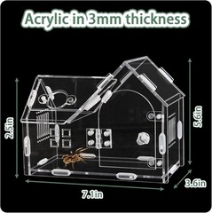 Acrylic Jumping Spider Enclosure with Magnetic Door – Transparent Tarantula Terr
