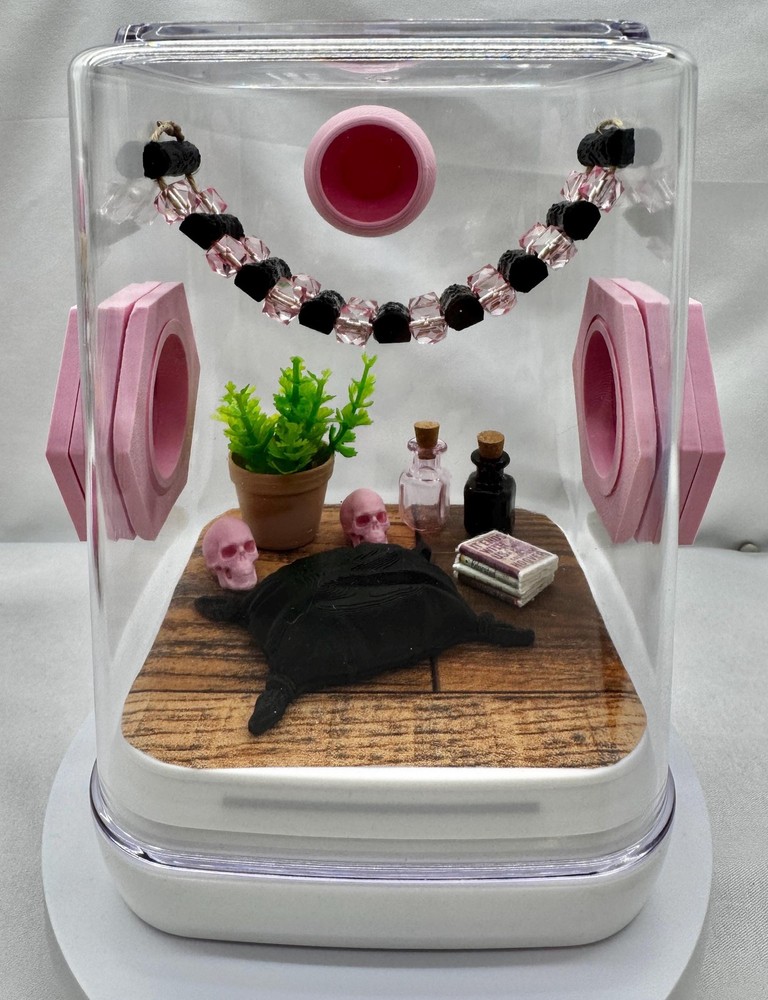 Jumping Spider Terrarium – The Pink Eclipse Cute Pet House Enclosure