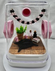 Jumping Spider Terrarium – The Pink Eclipse Cute Pet House Enclosure