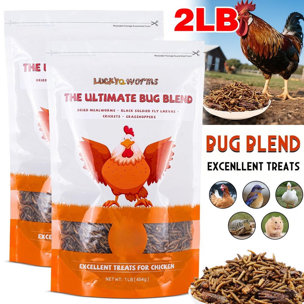 2 Lbs High Protein Dried Insect Trail Mix Natural Treat for Chickens Reptiles US