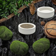 3 Pcs Reptile Food Bowl, Ceramic Water Feeder Bowl For Lizard Anoles B